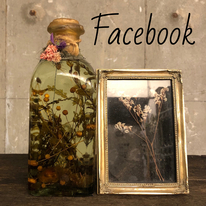 FACE BOOK